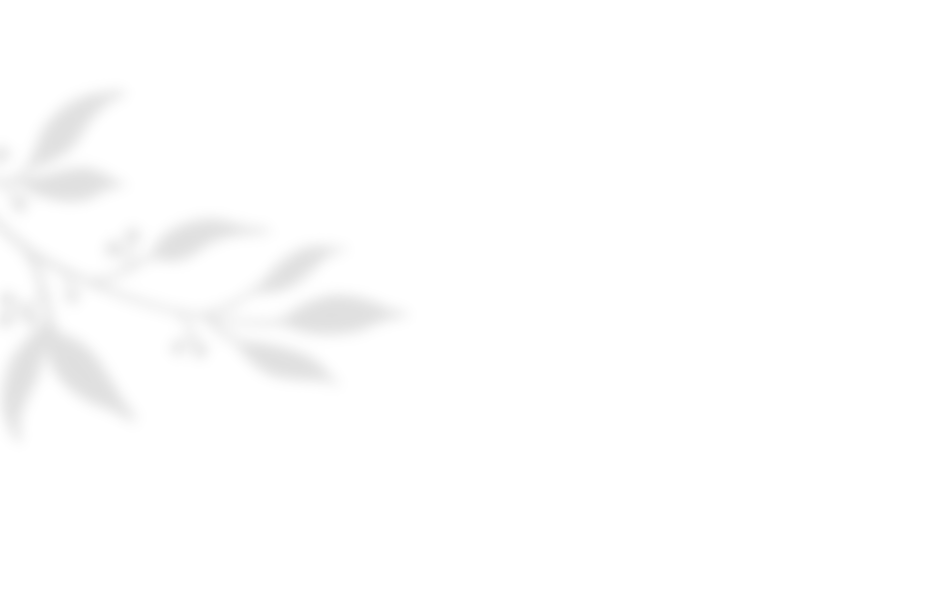 https://mariopantojastories.com/wp-content/uploads/2020/10/shadow_leaves_04.png