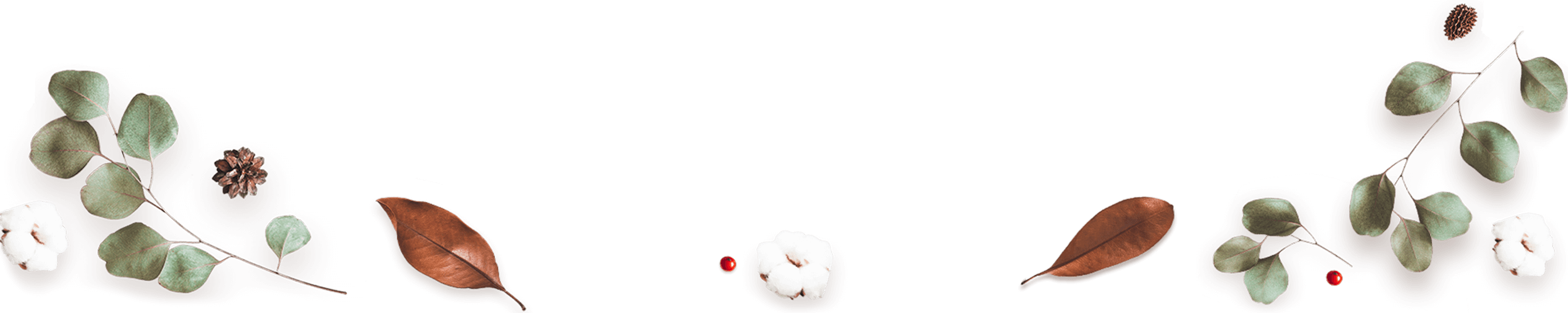 https://mariopantojastories.com/wp-content/uploads/2020/12/floating_image_03.png