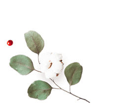 https://mariopantojastories.com/wp-content/uploads/2020/12/floating_image_flower_01.png