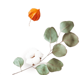 https://mariopantojastories.com/wp-content/uploads/2020/12/floating_image_flower_02.png