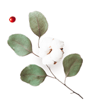 https://mariopantojastories.com/wp-content/uploads/2020/12/floating_image_flower_03.png