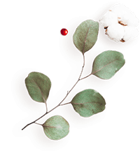 https://mariopantojastories.com/wp-content/uploads/2020/12/floating_image_flower_04.png